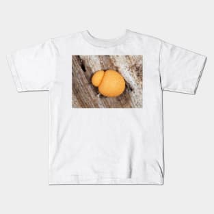 Slime mold Lycogala epidendrum or similar Lycogala sp. Kids T-Shirt